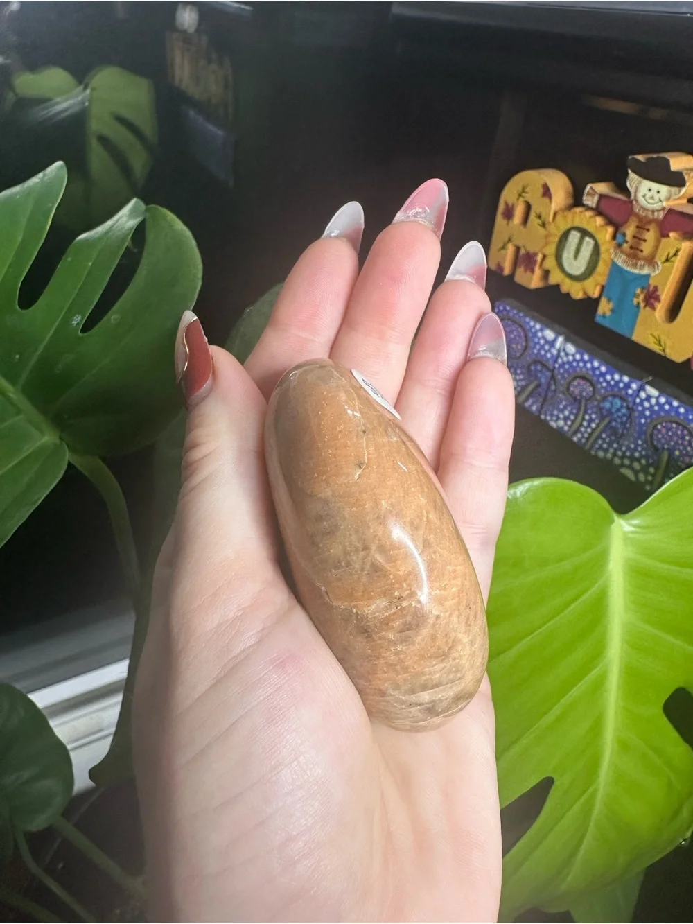 Polished Peach Moonstone Palm Stone - Natural Brown Crystal